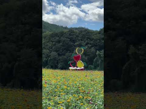 산소카페 청송정원 9월 2일 개장