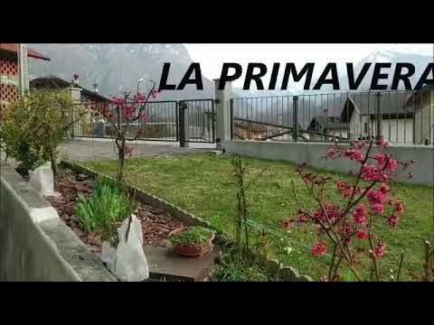 La primavera ad Agordo_Gioie