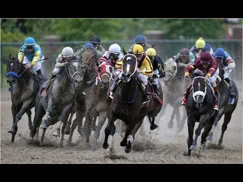 2009 Preakness Stakes