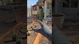 Spring GARDEN planning - #garden #gardenbeds #plants