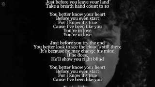You Better Know Your Heart - Lou Gramm (Lyric Video) [HQ]