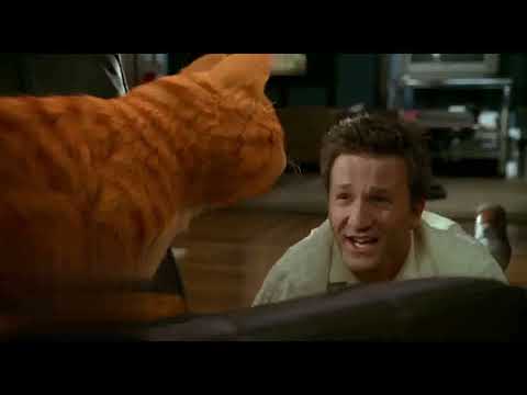 Garfield in Punjabi 🤣🤣🤣