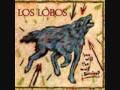 los lobos when the circus comes to town