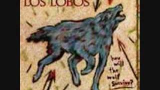 los lobos when the circus comes to town