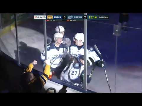 Maine Wild Blueberries vs. Norfolk Admirals highlights - 2/17/24