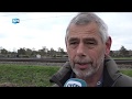 Roep om actie na dodelijk ongeluk in Santpoort-Zuid