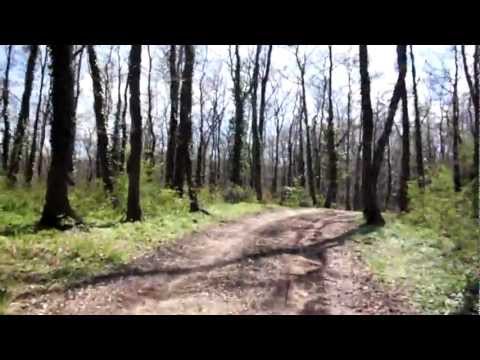 Giro in Mountain bike al macchione fra Accadia-Deliceto e Bovino