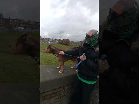 part 3/#2018 -Panchas Psycho (R.I.P ) We Will Never Forget #WorldWideFamilia 4Ever