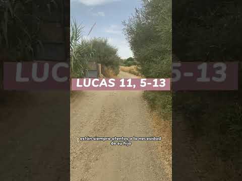 🙏 Reflection on the Gospel according to Saint Luke 11:5-13