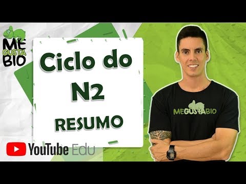 Nitrogen cycle - Summary