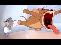 Universal Stock Roar Compilation Read Description For Sources