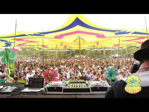 Equilibrium Woodstock - Electric Gene