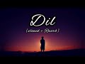 Dil - Lofi (Slowed + Reverb) | Raghav Chaitanya | Lofi feel #song