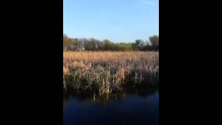 Lincoln Marsh Racket