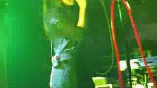 Guillemots Last Kiss