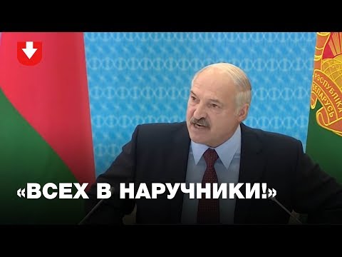 Кого и за что разносил Лукашенко. По следам «обоср…ных коров» (очень эмоционально)