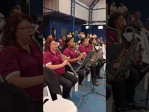 29. Flor e o Beija-Flor - Corporação Musical Santo Antônio (Itaverava/MG)