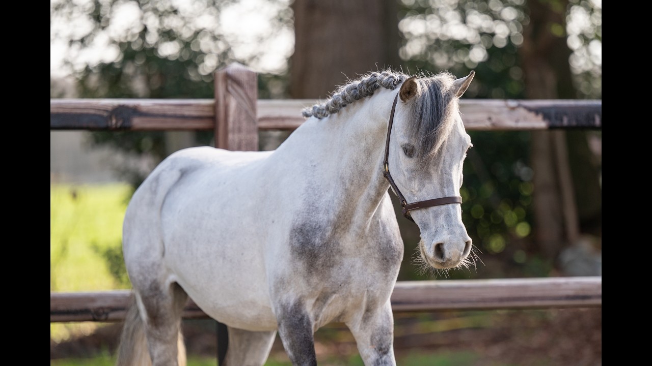 Tresor (UNKNOWN x UNKNOWN) video 2