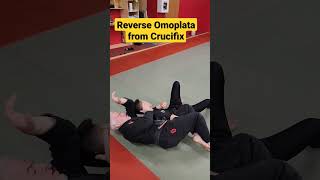 How to Execute a Reverse Omoplata from Crucifix in Brazilian Jiu-Jitsu