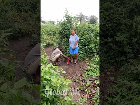 #music #beats #remix #song #flstudio #dance #amapianotv #musicgenre #comedy #afrobeatslovers #shorts