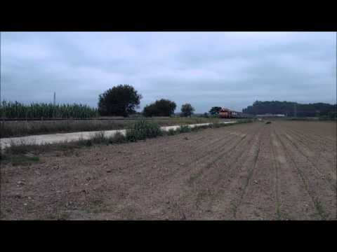 Comboio Especial n.º 13510 (FC Famalicão) - Amor