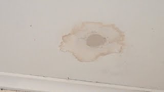 How to stop water stains from bleeding through paint - How to hide water stains alternative