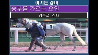 경마교실/ 경주로상태/경마초보/경마예상