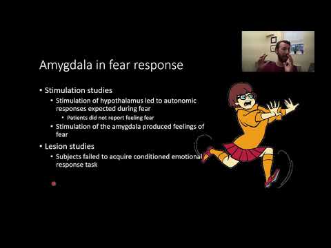 PSY210 CH10PT1: The Amygdala and Fear