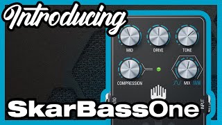 Video thumbnail for SkarBassOne A Game Changer for Your Bass Tone! by Trondheim Audio Devices