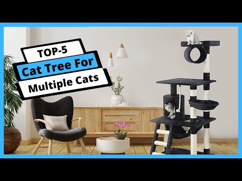✅ Best cat tree for multiple cats: Cat tree for multiple cats (Buying Guide)