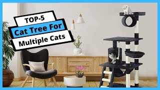 ✅ Best cat tree for multiple cats: Cat tree for multiple cat