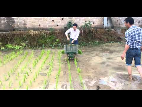 Two rows manual rice transplanter
