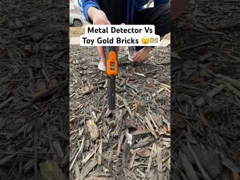 Using A Metal Detector At Walmart To Find Real Gold #shorts