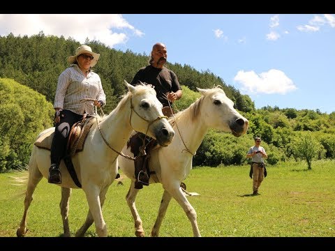 The Way of the Horse & Bow (Learn Horseback Archery)