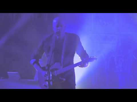 CASUALTIES OF COOL - Daddy (Official Live Video)