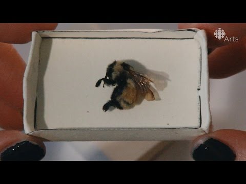 If You Know Somebody Who Appreciates , Consider Acquiring A Honey Bee ...