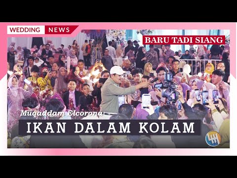 MUQADDAM ELCORONA - IKAN DALAM KOLAM (PERNIKAHAN IQBAL & FARAH, SAMARINDA)