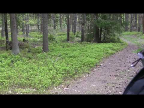 L -test Silinge gård i Flen