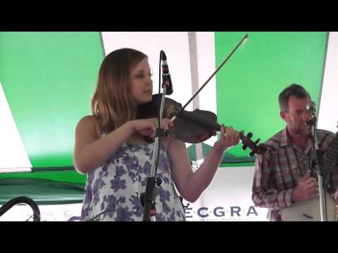 #659 Tiger Maple String Band - 