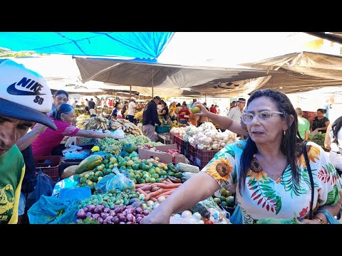 FEIRA EM CANAPI AL FARTURA E BARRIGA CHEIA POVO NORDESTINO 