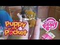 DITL: We've got puppies in our pockets! My ...