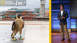Adventures in Photographing England's Urban Wildlife | Nat Geo Live