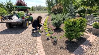 Planting the Pond Berm Area with Annuals & Maple Tree + Laundry Room Counter Install! 🌸🌳🙌