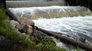 Kaz vs. Wild, The natural beauty of a Michigan river. Survival, bug out  and Rustic Camping practice