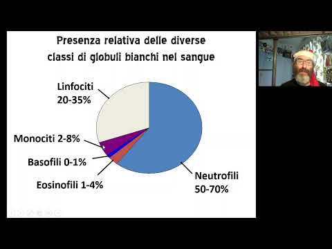 12 Istologia Il Sangue parte II canale AeB