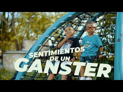 SENTIMIENTOS DE UN GANGSTER❤️ MC DULAR (Visualizer)