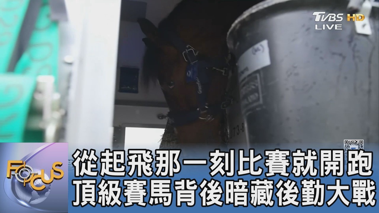 身價上億貴賓遠征九千公里 專業空中旅行社揭密頂級賽馬長途飛行