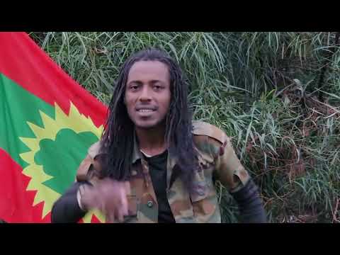 JAAL DAARAARAA KABBADAA: "IYYISIISI DAWWEE" #oromo #neworomomusic #music