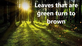 Simon &amp; Garfunkel  Leaves that are green - live (with lyrics)