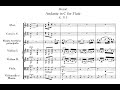 Mozart- Andante for Flute and Orchestra in C Major, K. 315